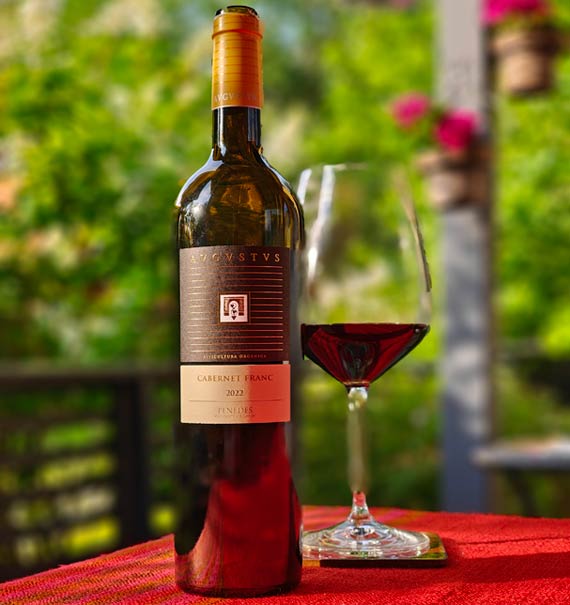 Avgvstvs Cabernet Franc