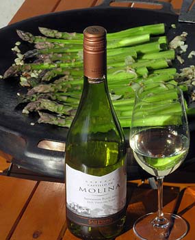 Castillo de Molina Reserva Sauvignon Blanc 2015