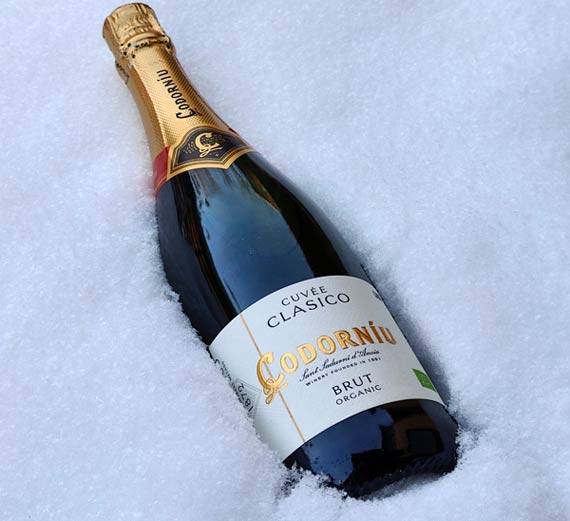 Codorniu Brut lumihangessa