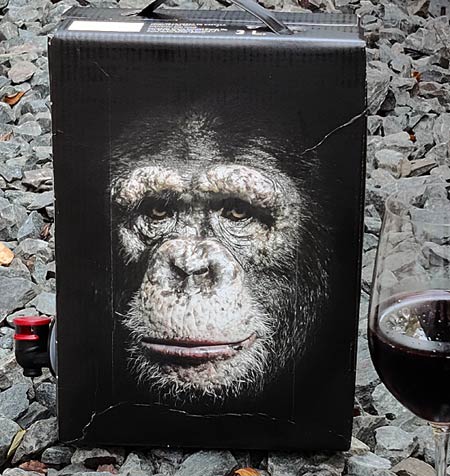 Katse La Mirada Organic Tempranillo Syrah