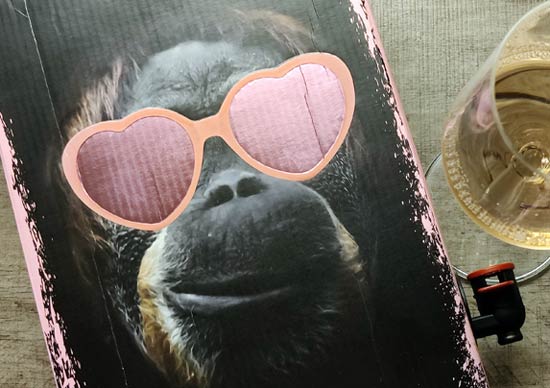 Katse Rosé 2020 hanapakkaus