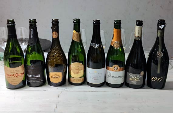 Cava-kuohuviinejä rivissä