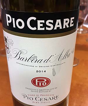 Piemonten punaviinit - Pio Cesare Barbera d'Alba
