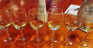 Grand Cru Riesling lasit