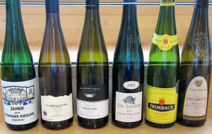 Riesling viinit