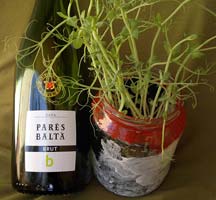 [kuva: Luomua vapuksi]