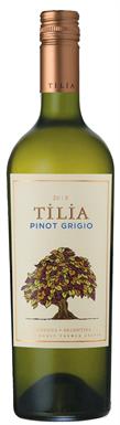 [kuva: Tilia Pinot Grigio 2017(&copy; Alko)]