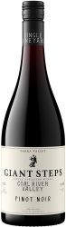 [kuva: Giant Steps Fatal Shore Single Vineyard Pinot Noir Coal River Valley 2021]