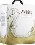 [kuva: Gozo White]
