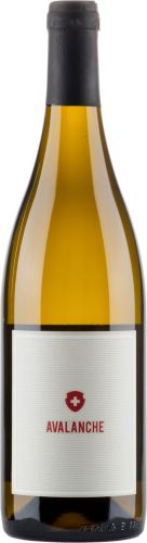 [kuva: Avalanche 2022(&copy; Alko)]