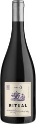 [kuva: Ritual Syrah Alcaparral Block 2019]