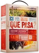 [kuva: ¿Que Pasa? Organic Cabernet Sauvignon Syrah Carmenere  2015 hanapakkaus]