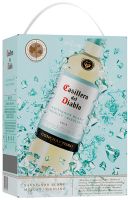 [kuva: Casillero del Diablo Sauvignon Blanc Muscat Riesling 2022 hanapakkaus]