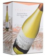 [kuva: Castillo de Molina Reserva Sauvignon Blanc 2017 hanapakkaus]