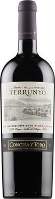 [kuva: Terrunyo Pirque Vineyard Cabernet Sauvignon 2012(&copy; Alko)]