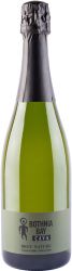 [kuva: Bothnia Bay Cava Brut Nature 2021]