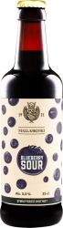 [kuva: Mallaskoski Blueberry Sour Ale]