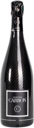 [kuva: Carbon Luminous Réflection Champagne  Brut]