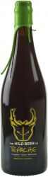 [kuva: Wild Beer Tepache Sour Ale]