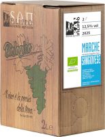 [kuva: San Filippo Marche Sangiovese 2025]