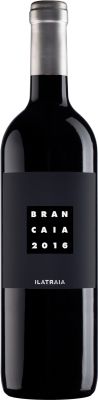 [kuva: Brancaia Ilatraia 2016(&copy; Alko)]