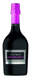 [kuva: Scavi & Ray Lambrusco(© Alko)]
