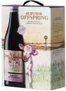 [kuva: Survivor Offspring Syrah Pinotage Cabernet Sauvignon  2016 hanapakkaus]