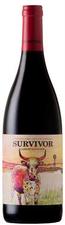 [kuva: Survivor Cabernet Sauvignon  2015]