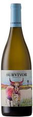 [kuva: Survivor Chenin Blanc 2017]